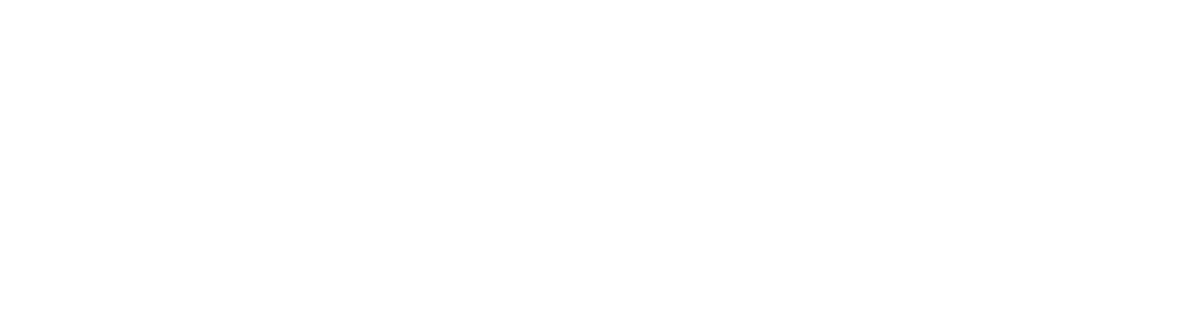 Never Land